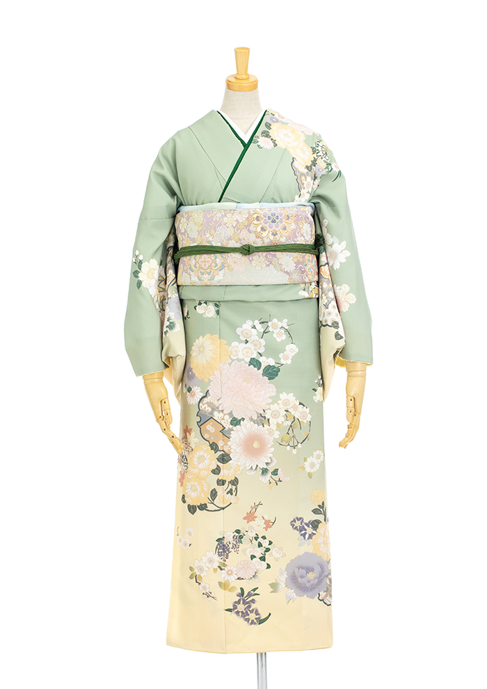 浅みどり菊花
